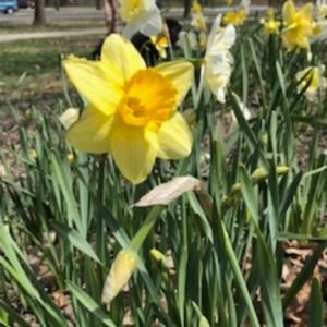 Meet your Posher, Rachael